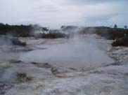 Rotorua - Hells Gate (Mud Pools)